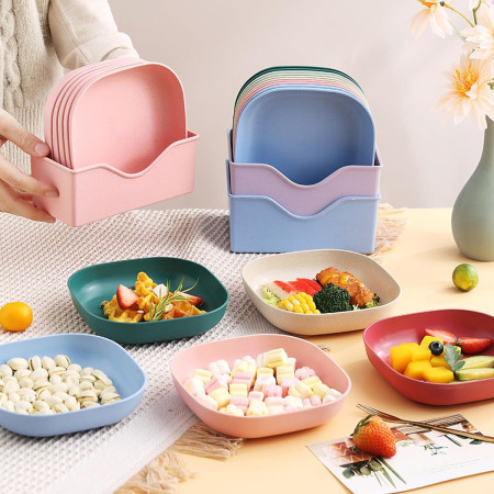 Multicolor 10-Piece Square Plate Set